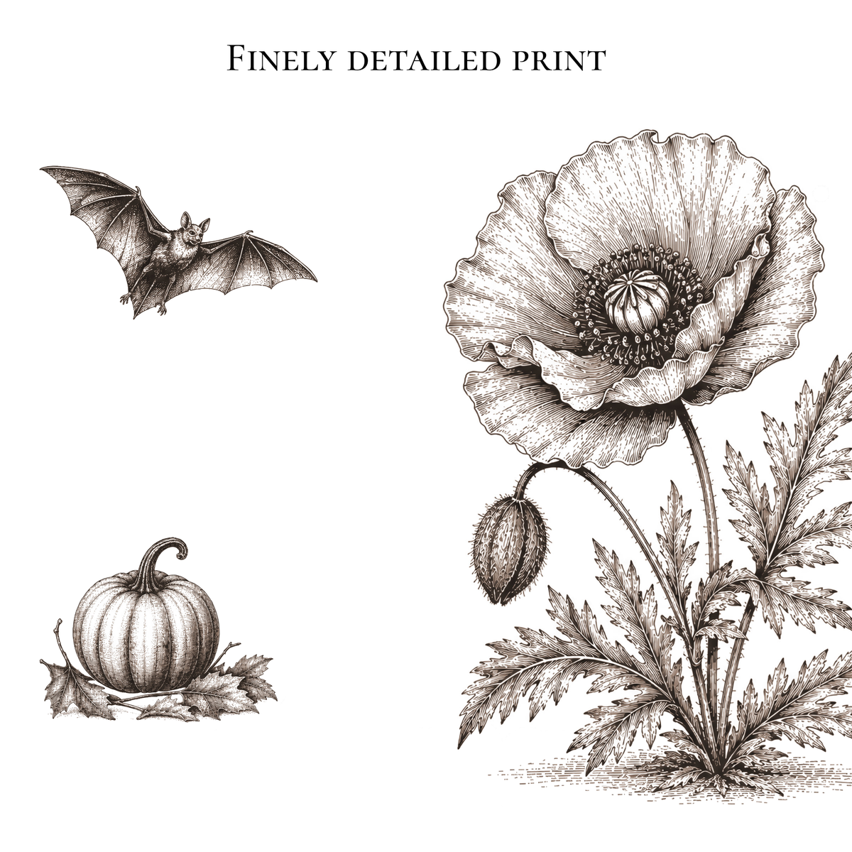 A vintage-style botanical print featuring a large detailed poppy flower, a small pumpkin with leaves, and a bat, all rendered in black ink on a white background. The text 'FINELY DETAILED PRINT' appears at the top.