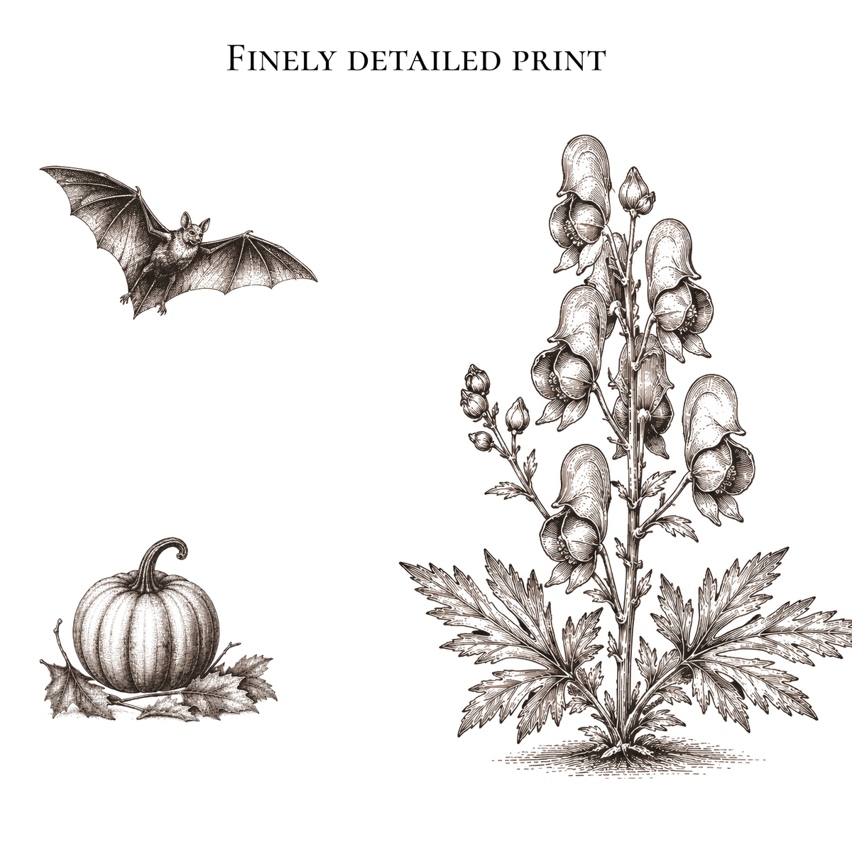 A vintage-style botanical print featuring a detailed bat, a small pumpkin with leaves, and a large wolfsbane plant with bell-shaped flowers, all rendered in brown ink on a white background. The text 'FINELY DETAILED PRINT' appears at the top.