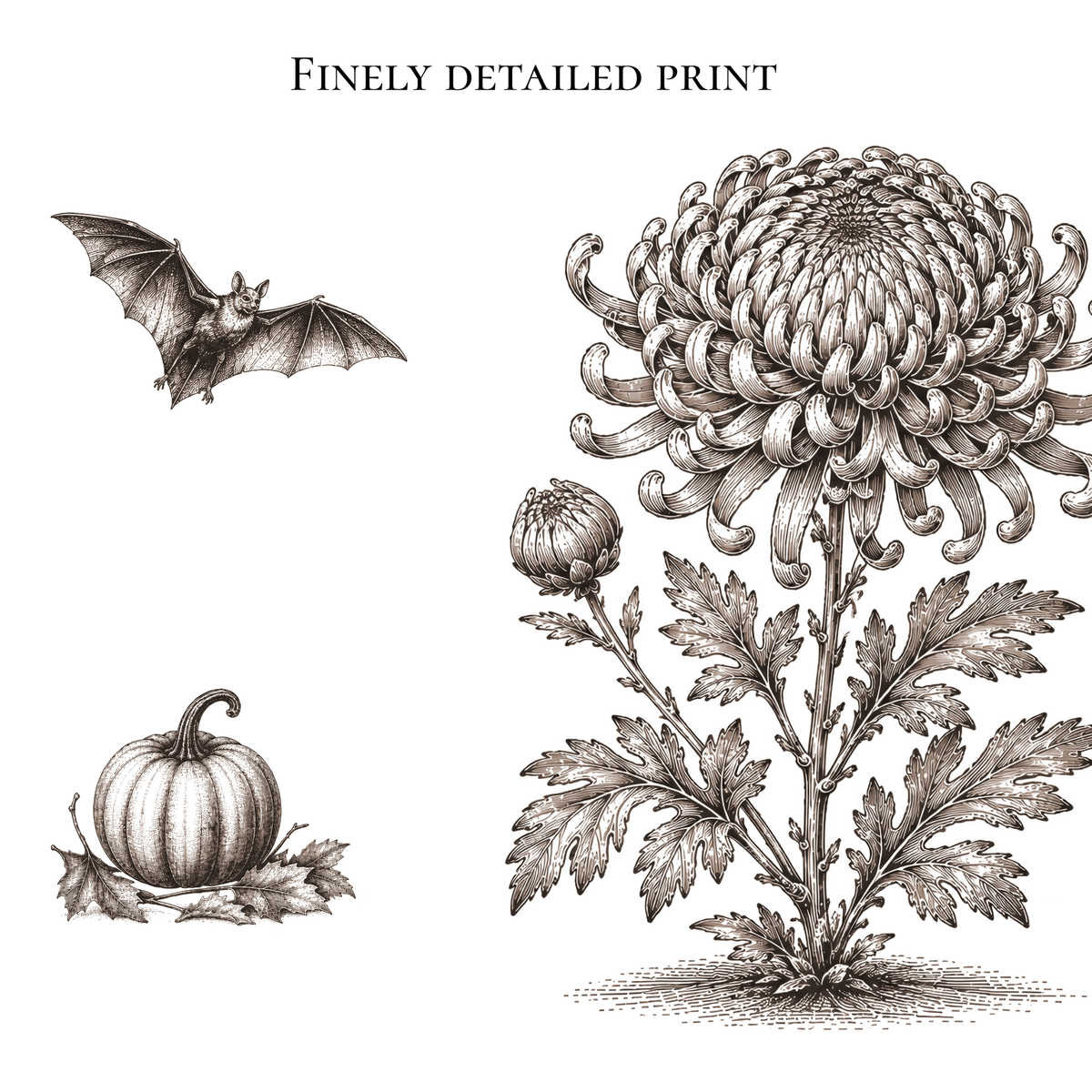 Vintage-style botanical illustration print featuring a large chrysanthemum flower, a small pumpkin, and a bat, with the text 'FINELY DETAILED PRINT' at the top on a white background.